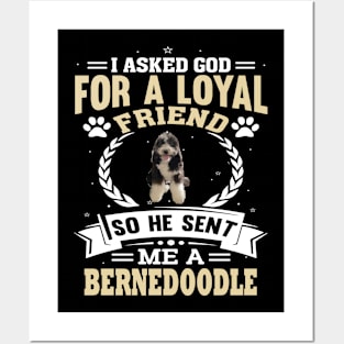 I asked God for a loyal friend He sent me a bernedoodle dog Posters and Art